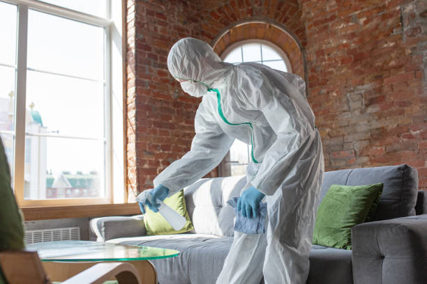 Why You Should Choose Our Mold Remediation Services in Wautoma, WI