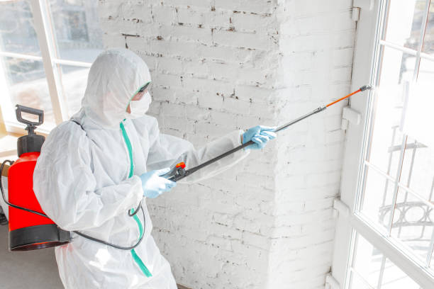 Best Mold Odor Removal Services in Wautoma, WI