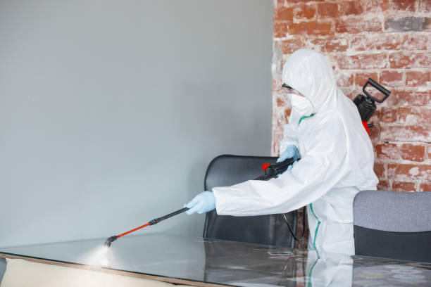 Best Environmental Consulting for Mold Prevention in Wautoma, WI