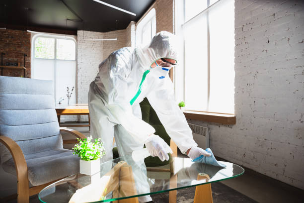 Best Biohazard Mold Removal in Wautoma, WI